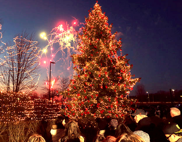 tree with holiday lights